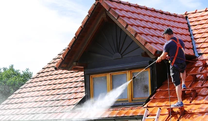 Roof Cleaning Services