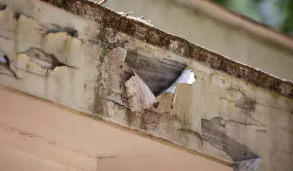 Fascia Board Restoration Services